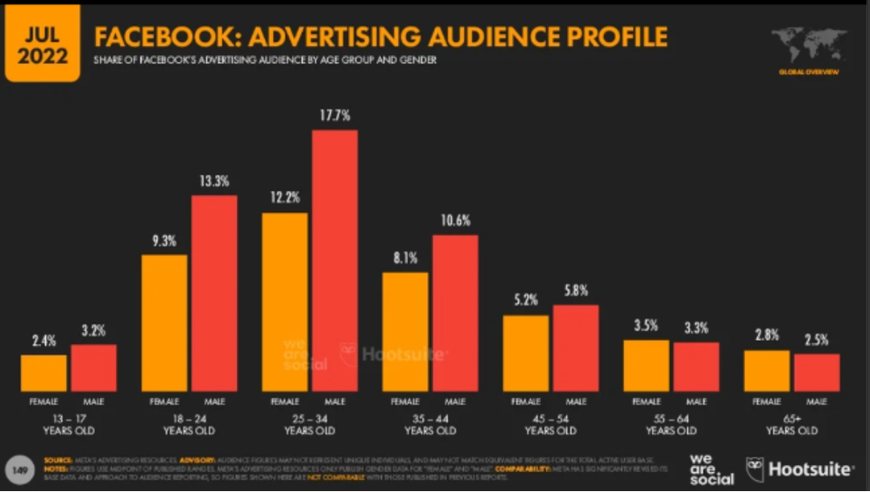Facebook Advertising Audience Profile July 2022