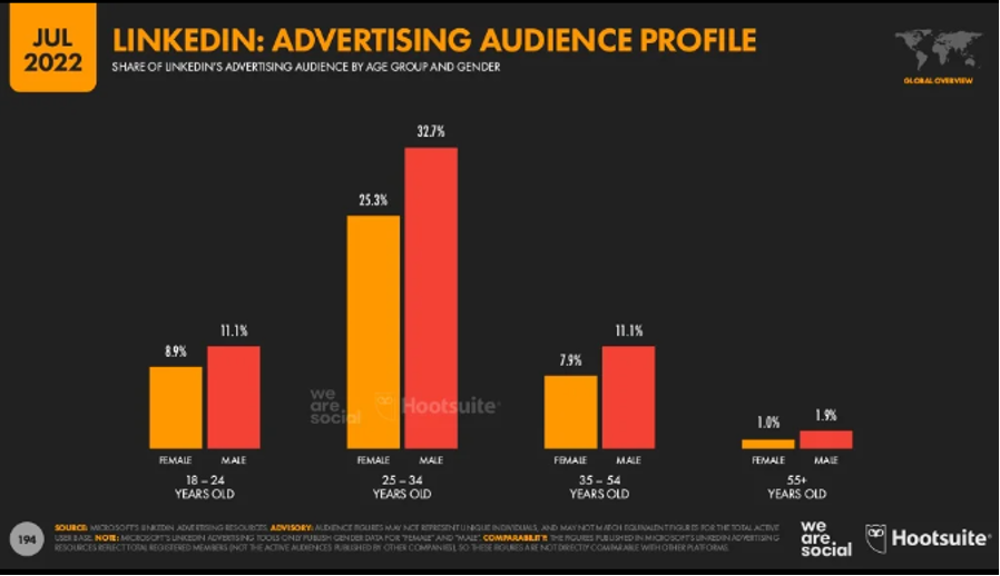 LinkedIn Advertising Audience Profile July 2022